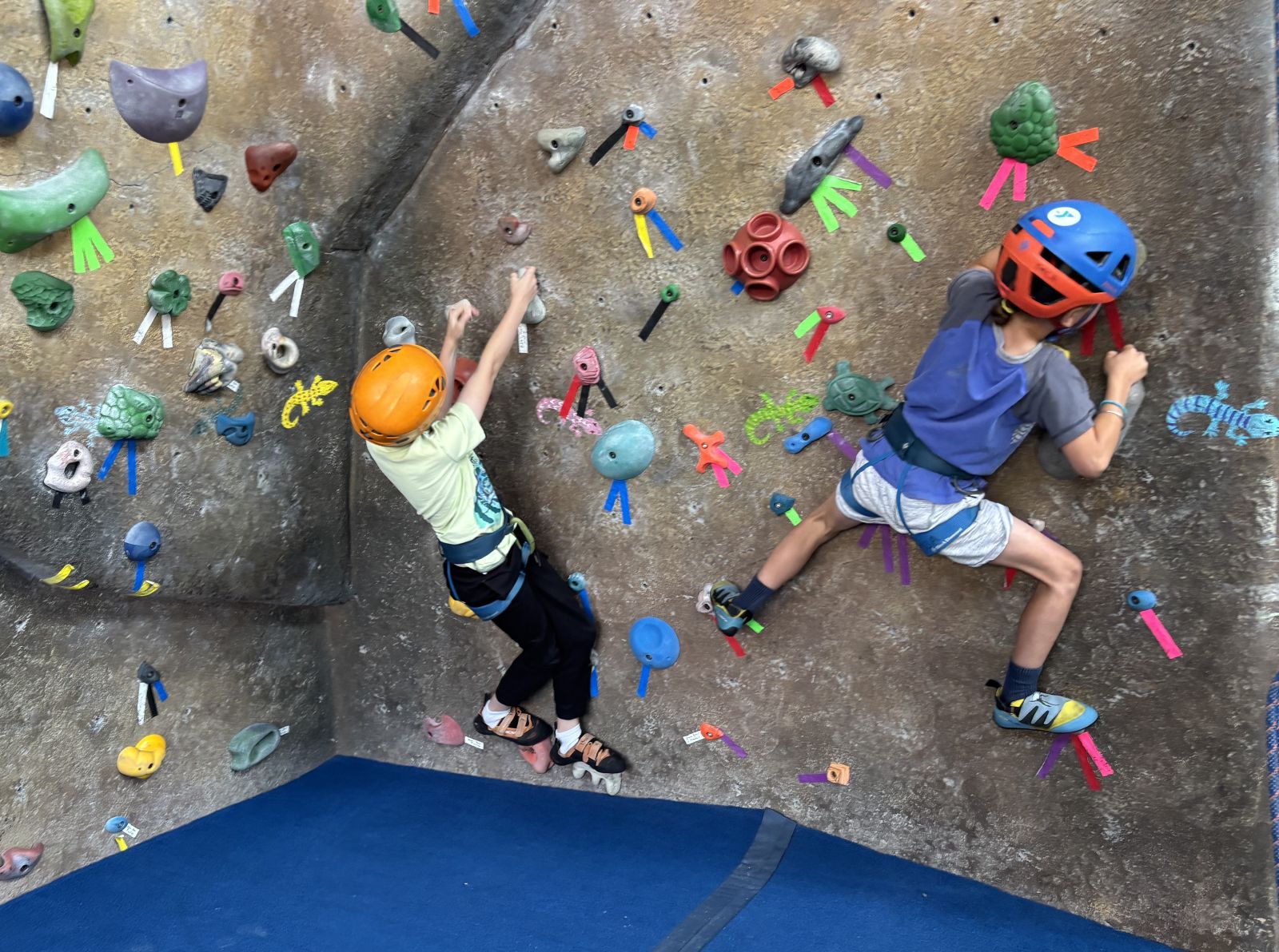 Children participating in climbing or youth enrichment activities