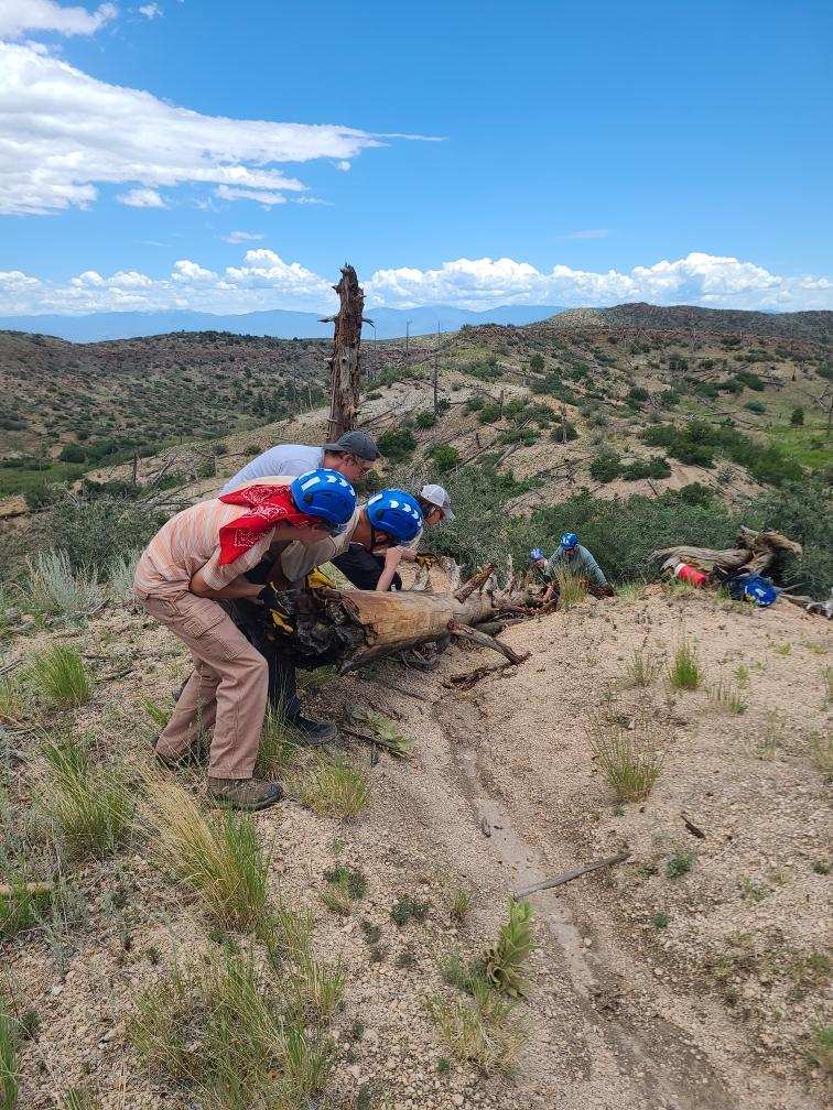 YCC crew lifting a large log together