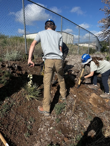 YCC members working on a slope near a fence